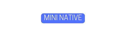 MINI NATIVE