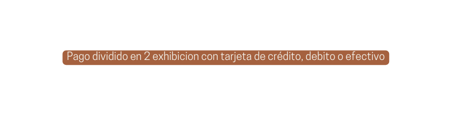 Pago dividido en 2 exhibicion con tarjeta de crédito debito o efectivo